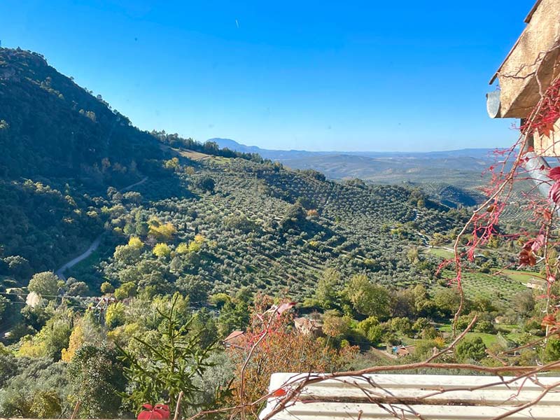 Hotel Rural San Julian - Hotel Rural en la Sierra de Cazorla Hotel Rural San Julian - Hotel Rural en la Sierra de Cazorla