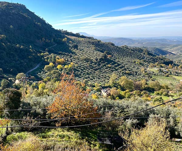 Hotel Rural San Julian - Hotel Rural en la Sierra de Cazorla Hotel Rural San Julian - Hotel Rural en la Sierra de Cazorla